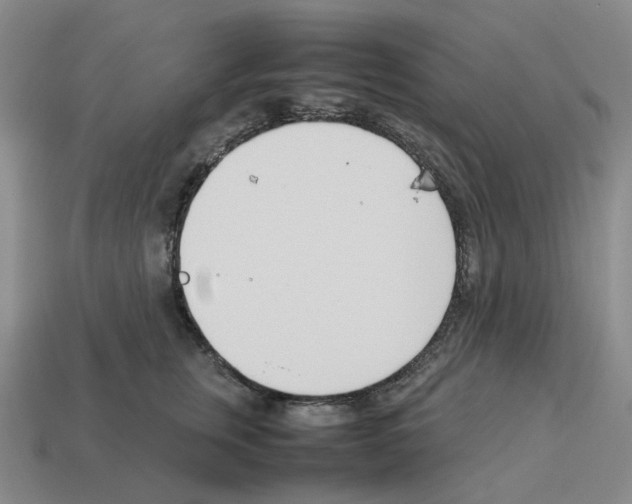 X0000114230759200911061527