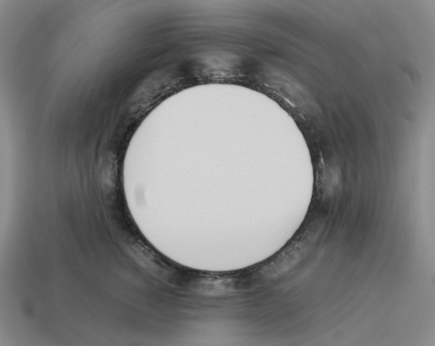 X0000114230760200911061527