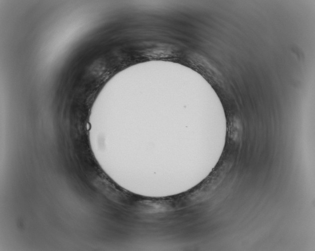 X0000114230763200911061527
