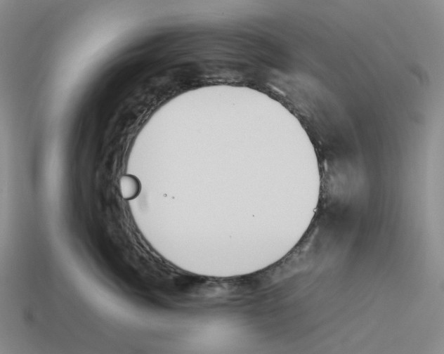 X0000114230764200911061527