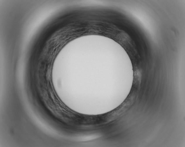 X0000114230765200911061527