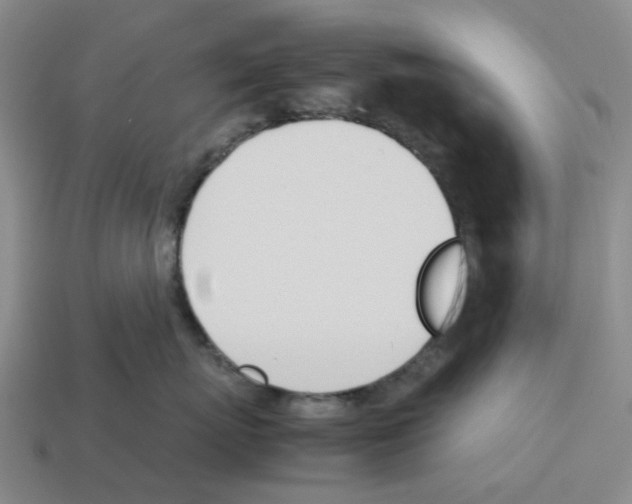 X0000114230767200911061527