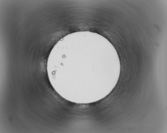 X0000114230768200911061527