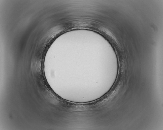 X0000114230777200911061527