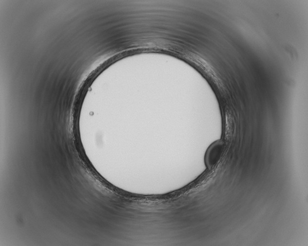 X0000114230780200911061527