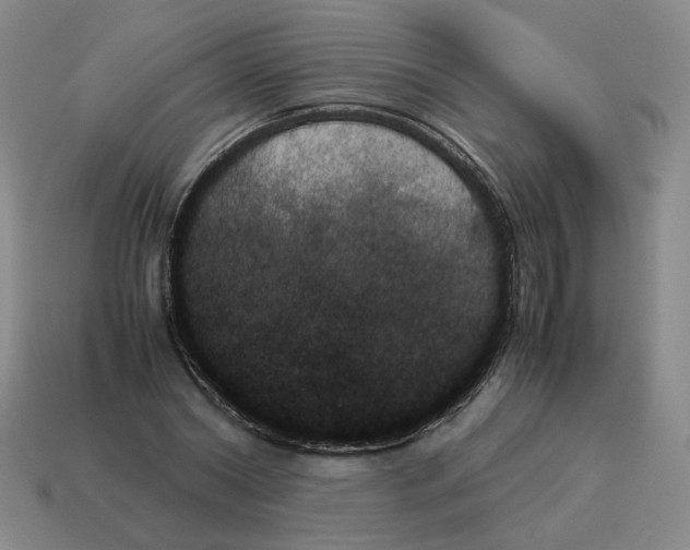 X0000114230782200911061527