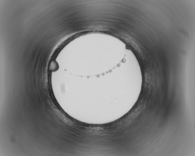 X0000114230784200911061527