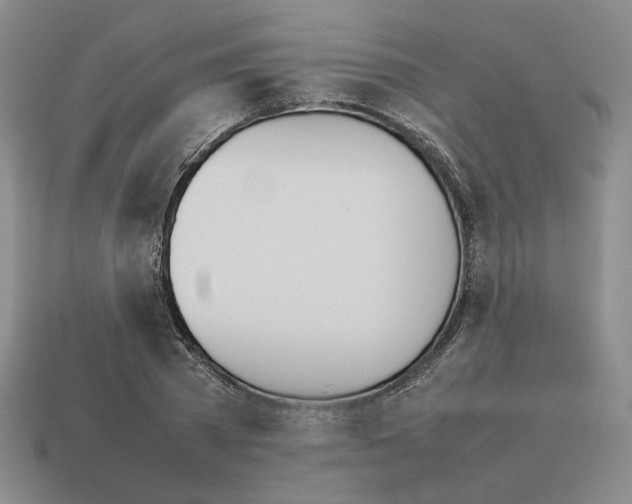 X0000114230785200911061527