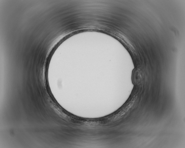 X0000114230788200911061527