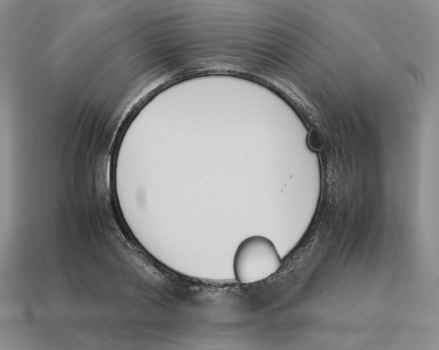 X0000114230790200911061527