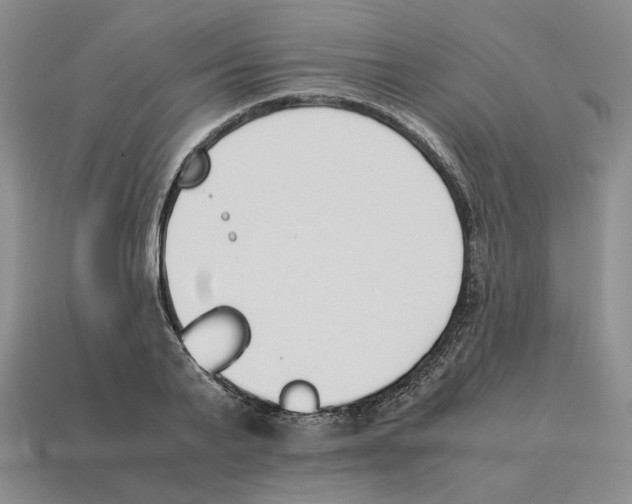 X0000114230791200911061527