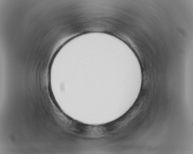 X0000114230795200911061527