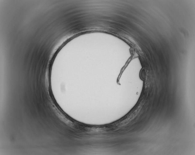 X0000114230796200911061527