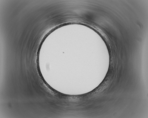 X0000114230799200911061526