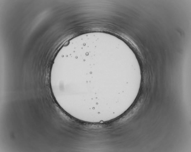 X0000114230801200911061526