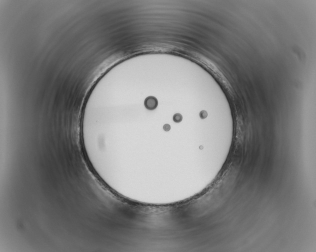 X0000114230802200911061526