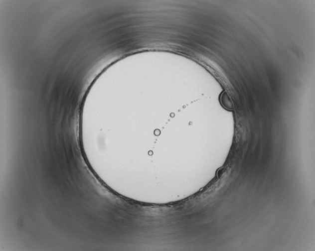 X0000114230804200911061526