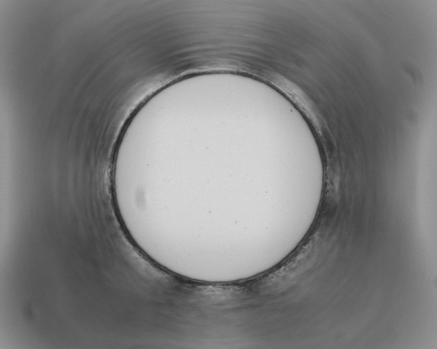 X0000114230805200911061526
