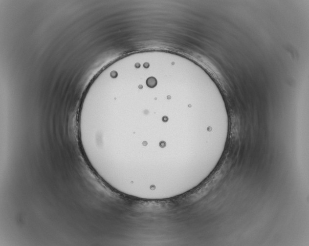 X0000114230806200911061526
