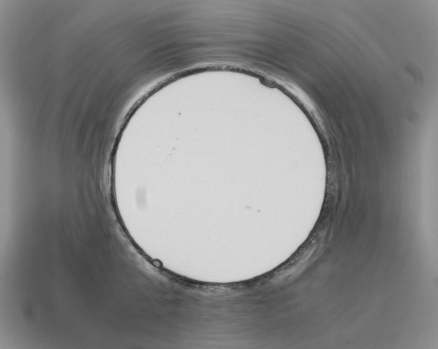 X0000114230807200911061526