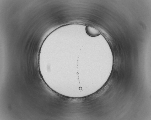 X0000114230808200911061526