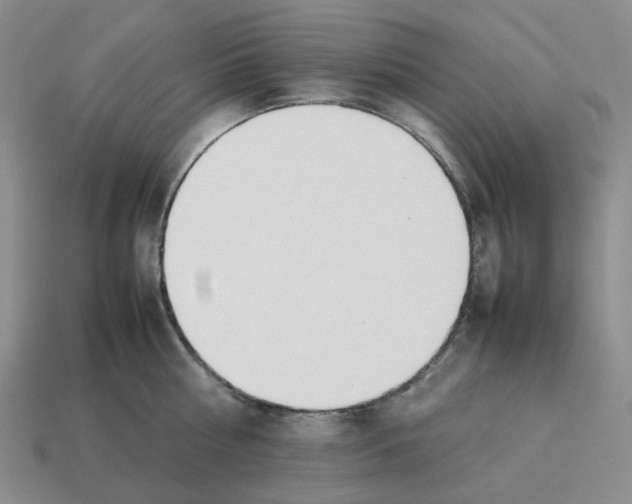 X0000114230810200911061526