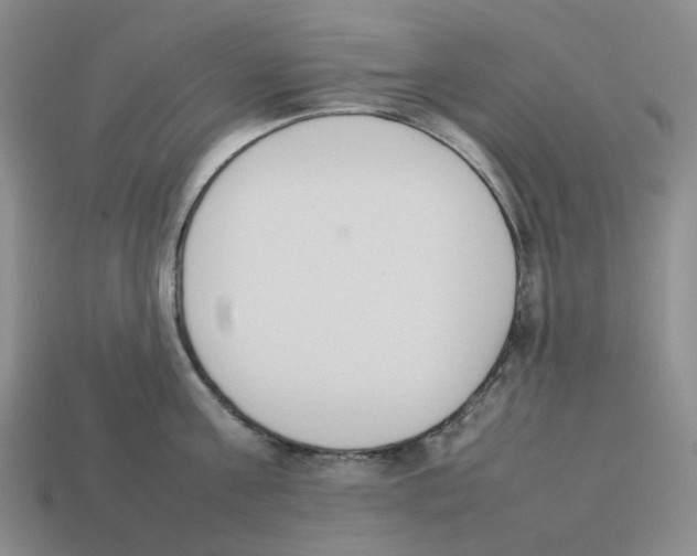 X0000114230811200911061526
