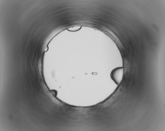 X0000114230812200911061526