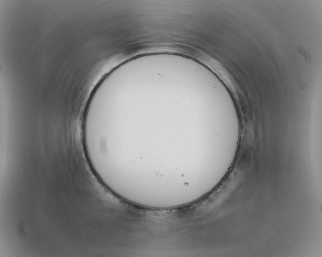 X0000114230813200911061526