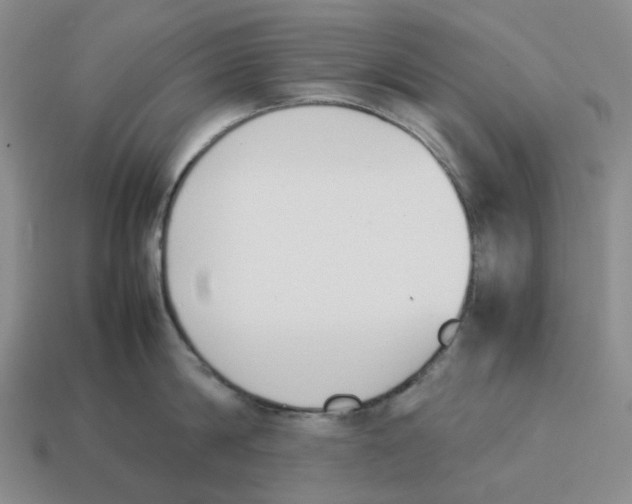 X0000114230814200911061526