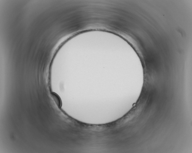 X0000114230815200911061526