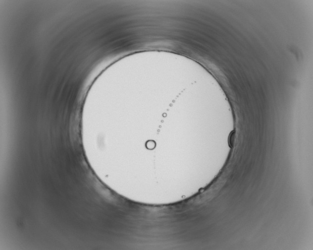 X0000114230816200911061526