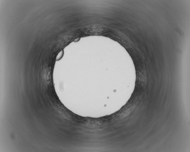 X0000114230818200911061526