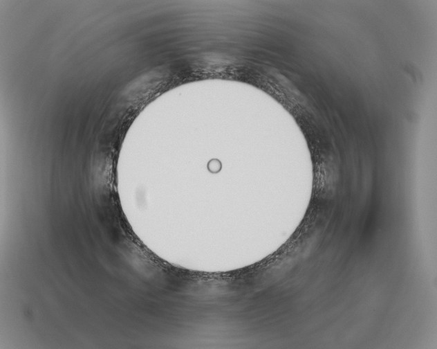 X0000114230820200911061526