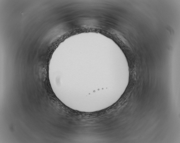 X0000114230821200911061526