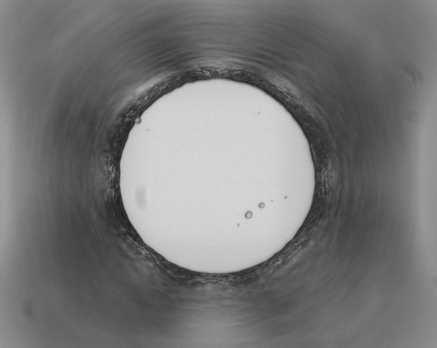 X0000114230822200911061526