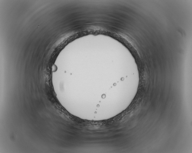 X0000114230823200911061526