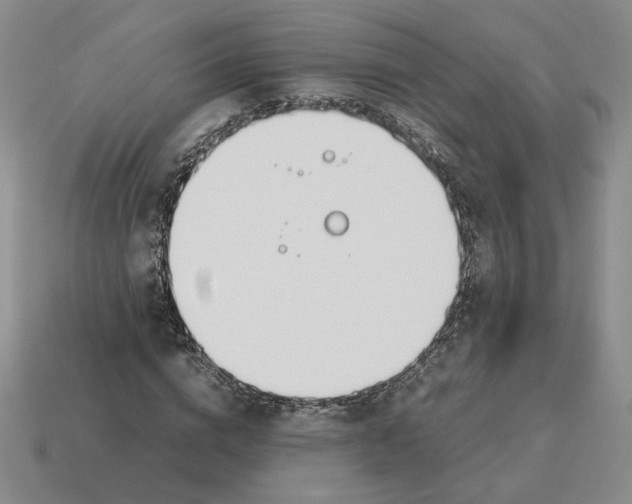 X0000114230824200911061526