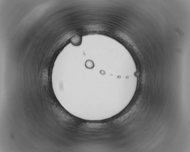 X0000114230825200911061526