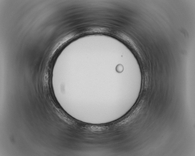 X0000114230827200911061526