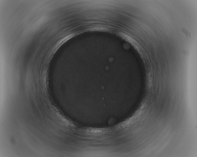 X0000114230829200911061526