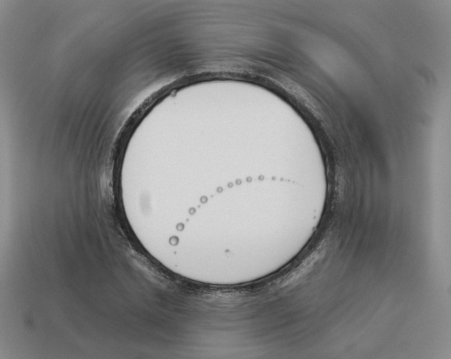 X0000114230830200911061526