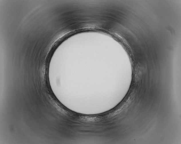 X0000114230831200911061526