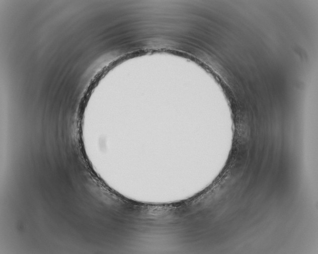 X0000114230832200911061526