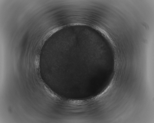 X0000114230833200911061526