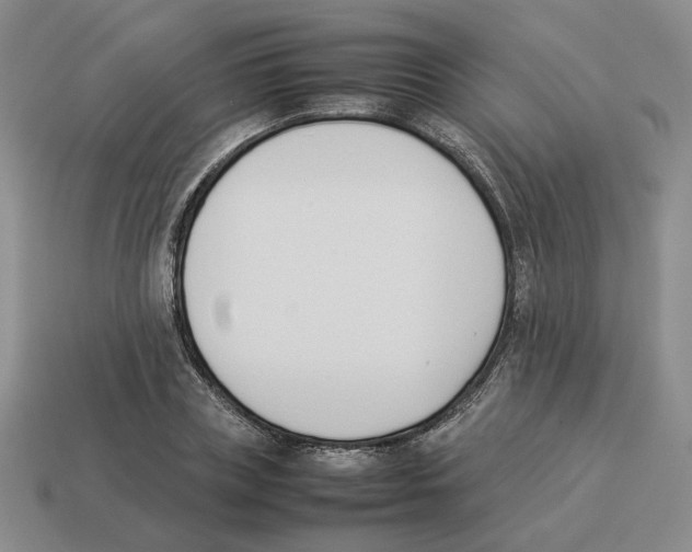 X0000114230835200911061526