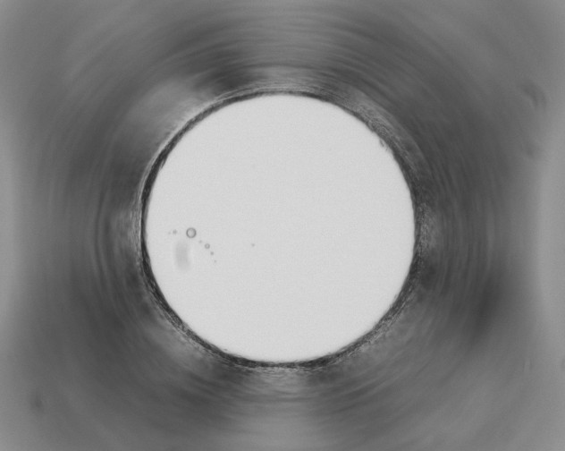 X0000114230836200911061526