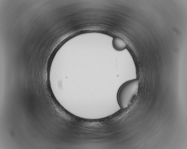 X0000114230837200911061526