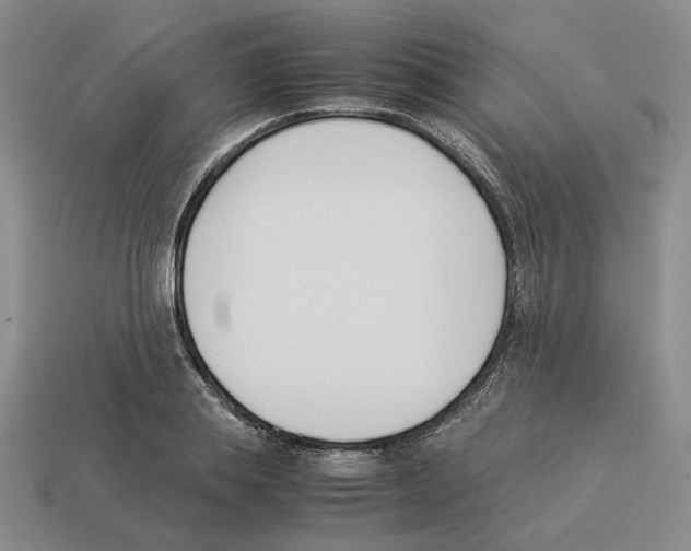 X0000114230839200911061526