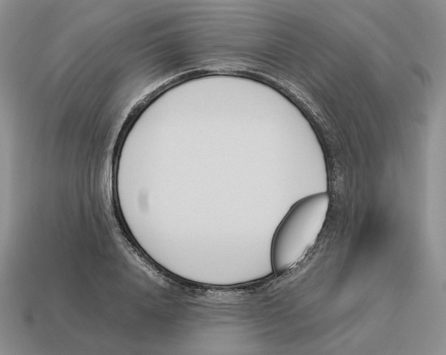 X0000114230840200911061526